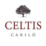 Celtis - Departamentos con servicios en Carilo